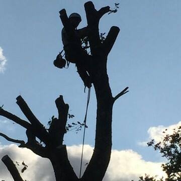 Laurent Buisson jardinier paysagiste Neuvic Dordogne