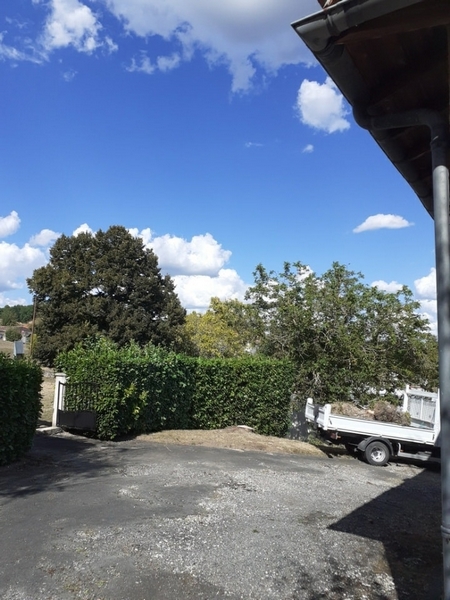 Elagage épicea  / Photo 6 - Après travaux : c'est net !