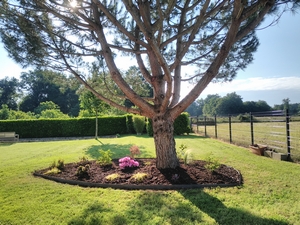 artisan paysagiste garden